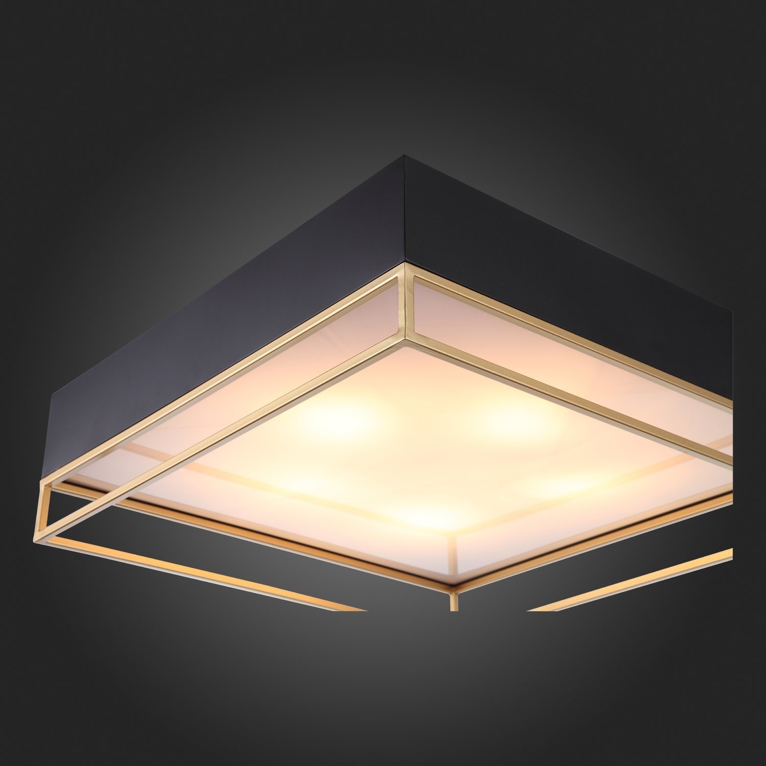 SL1127.422.05 Светильник потолочный ST-Luce Черный, Матовое золото/Белый E27 5*40W CHODO