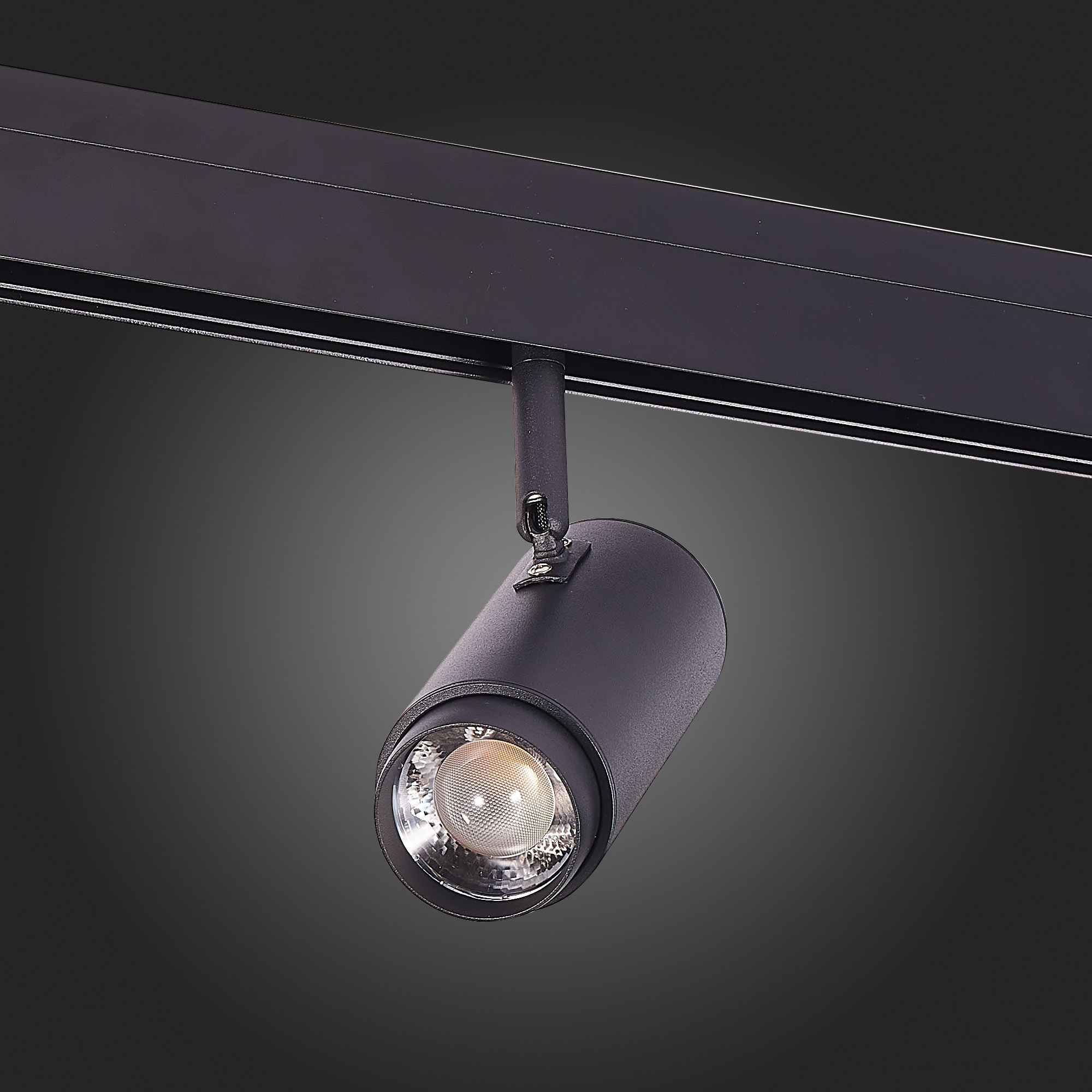 ST357.436.06 Магнитный трековый светильник ZOOM Черный LED 1*6W 3000K 667Lm Ra>80 10-60° IP20 L137xW SKYLINE 48