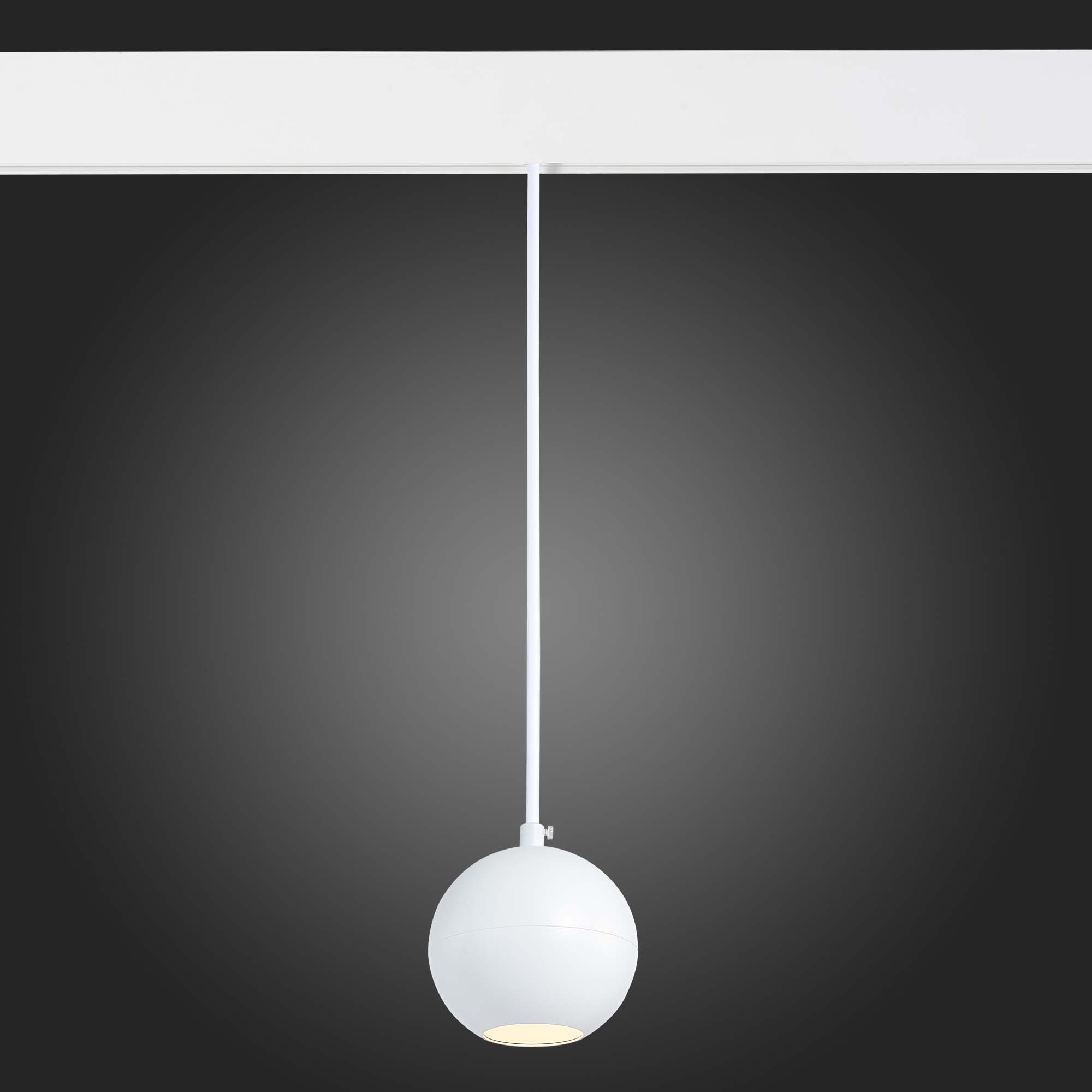 ST354.533.12 Магнитный трековый светильник подвесной Белый LED 1*12W 3000K 750Lm Ra>80 36° IP20 D100 SKYLINE 48