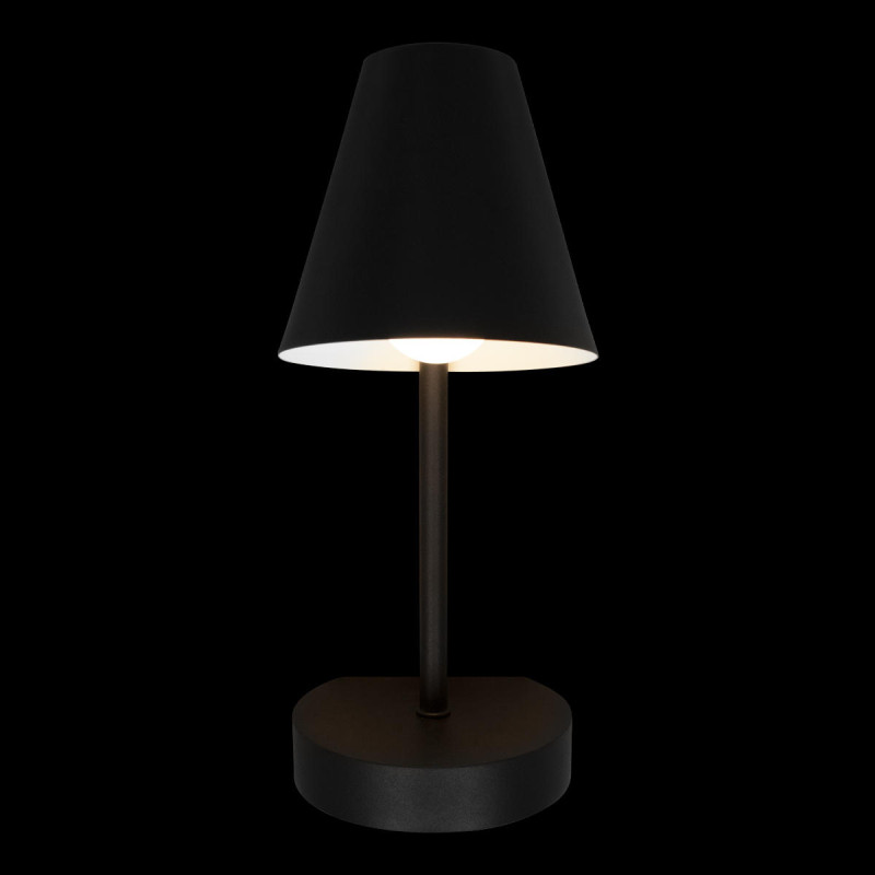 Бра LOFT IT 10216/1W Black