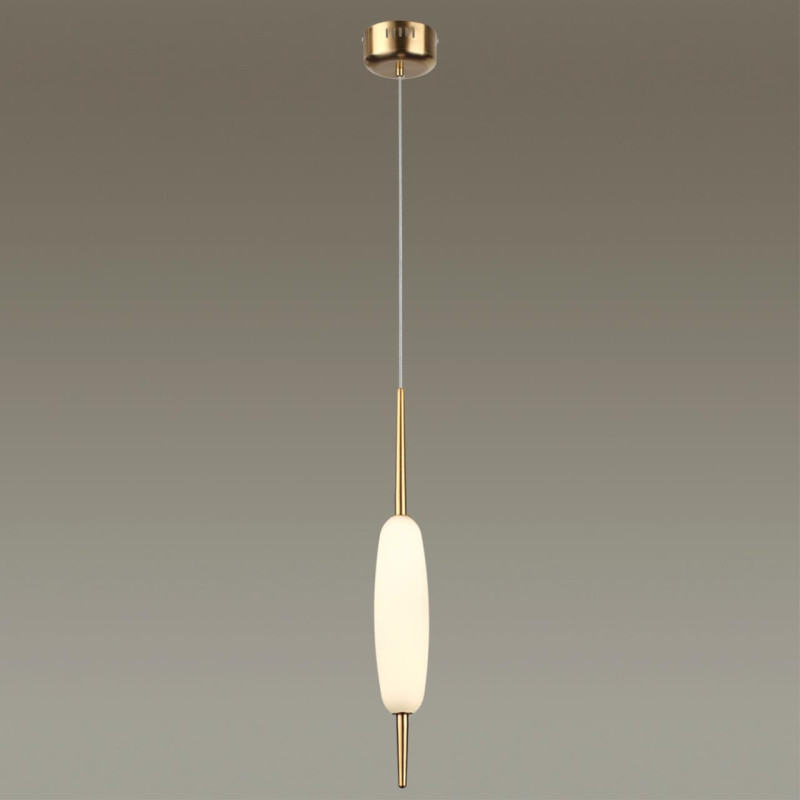 Подвесной светильник Odeon Light 4792/12L