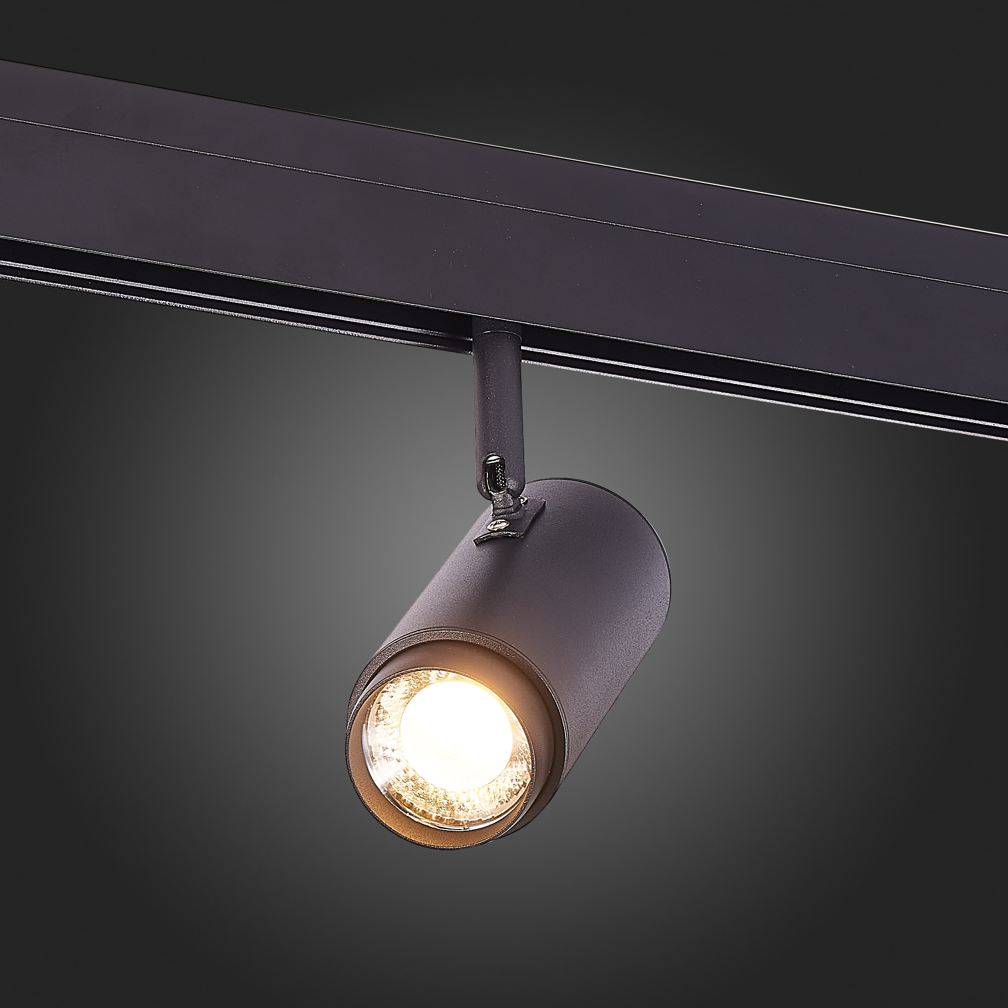 ST357.436.06 Магнитный трековый светильник ZOOM Черный LED 1*6W 3000K 667Lm Ra>80 10-60° IP20 L137xW SKYLINE 48