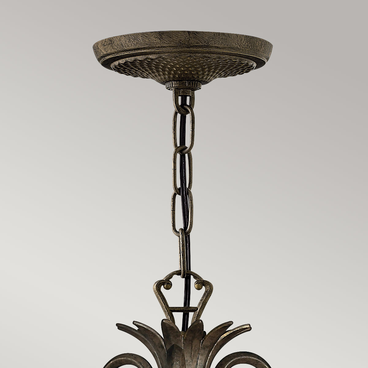 Люстра Hinkely Lighting, Арт. HK-PLANT3-PZ