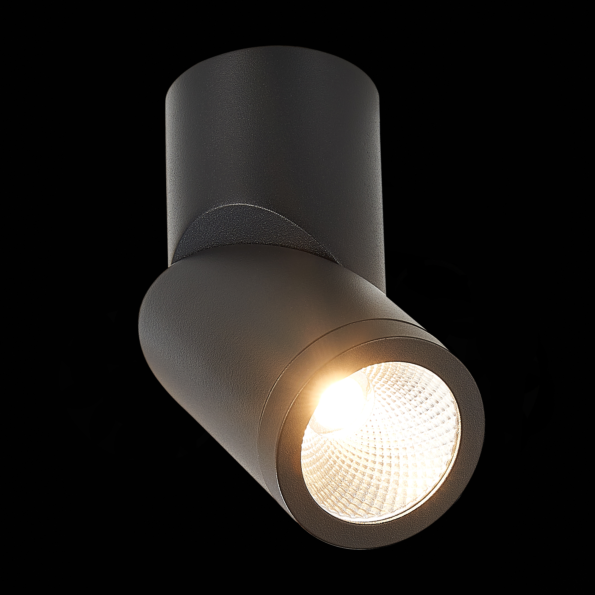 ST650.432.10 Светильник потолочный Черный LED 1*10W 3000K 800Lm Ra>90 38° IP44 D62xH151 165-265V Накладные светильники