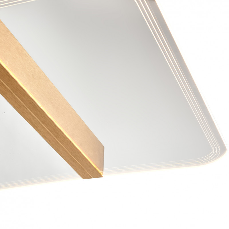 Накладной светильник Vele Luce VL7224L21