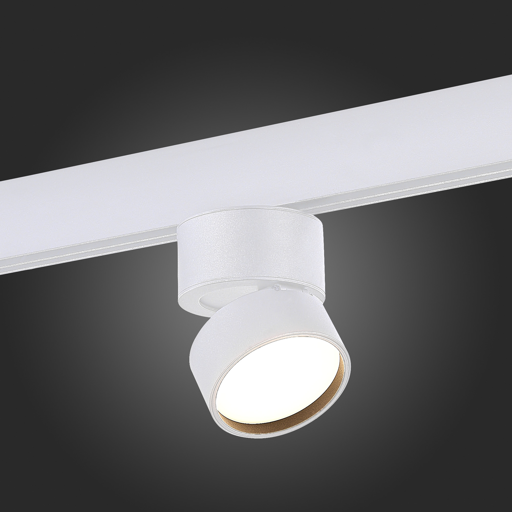ST809.536.09 Магнитный трековый светильник Белый LED 1*9W 3000K 550Lm Ra>90 120° IP20 D85xH126 48V SKYLINE 48