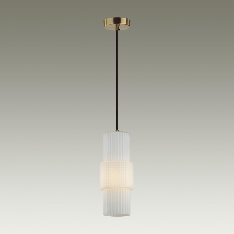 Подвесной светильник Odeon Light 5020/1