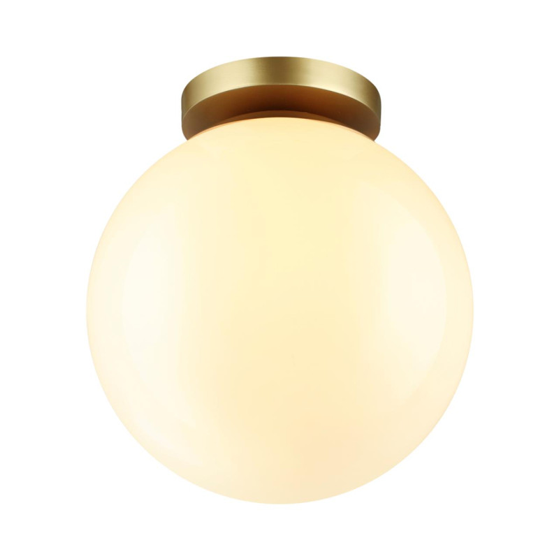 Накладной светильник Odeon Light 4248/1C