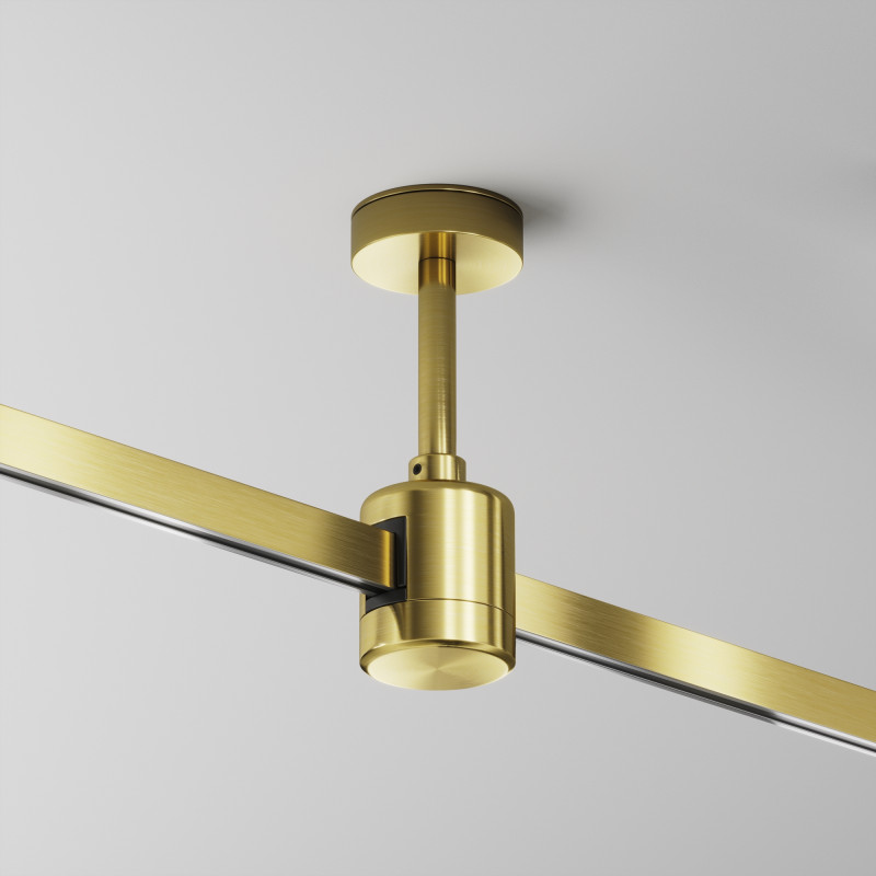 Подвесной комплект Maytoni TRA156C-IPC1-BS