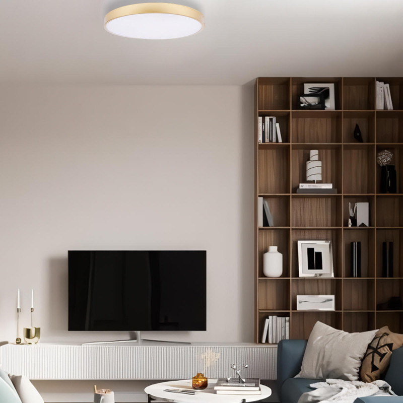 Накладной светильник LOFT IT 10228/A