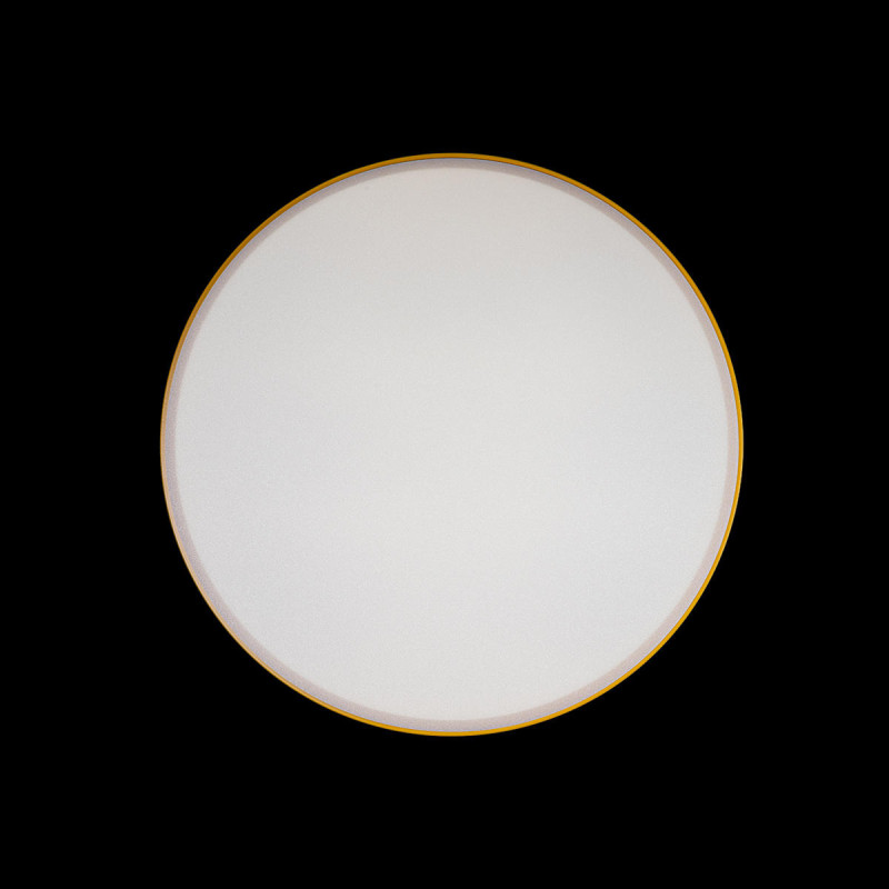 Потолочный детский светильник LOFT IT 10002/24 Yellow