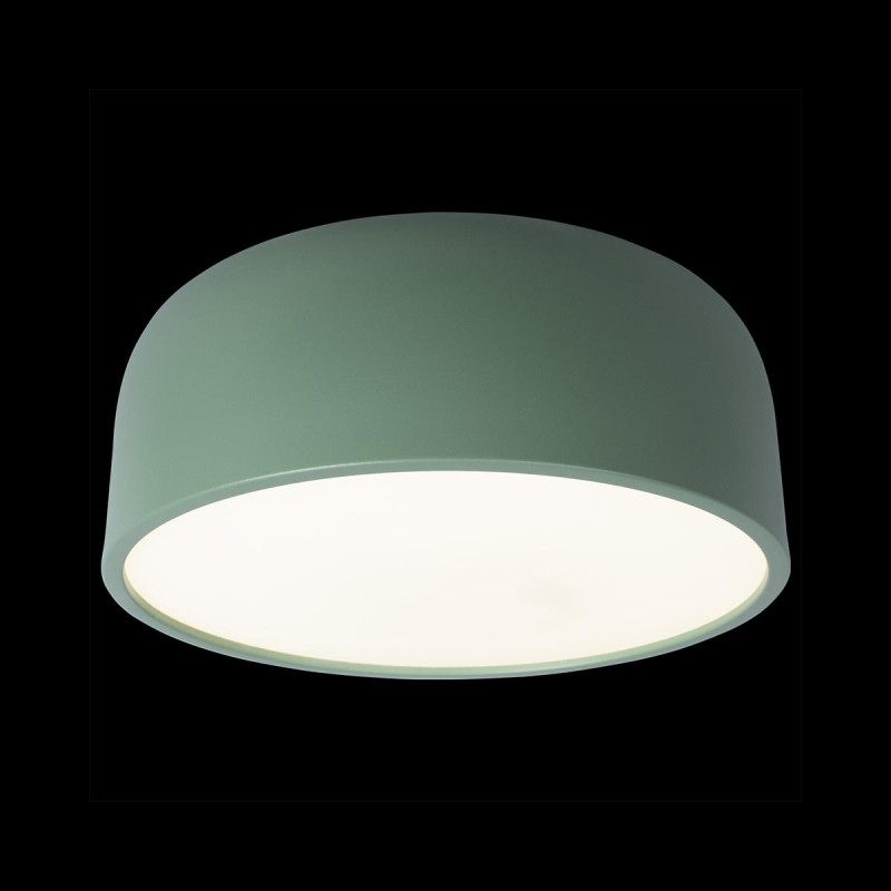 Потолочный детский светильник LOFT IT 10201/350 Green