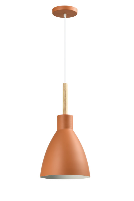 Потолочный детский светильник Moderli V10650-1P