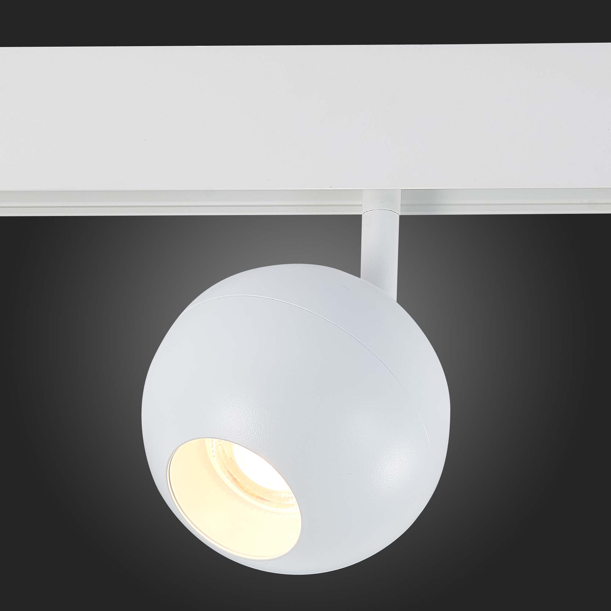 ST354.536.12 Магнитный трековый светильник Белый LED 1*12W 3000K 680Lm Ra>80 36° IP20 L120xW100xH195 SKYLINE 48