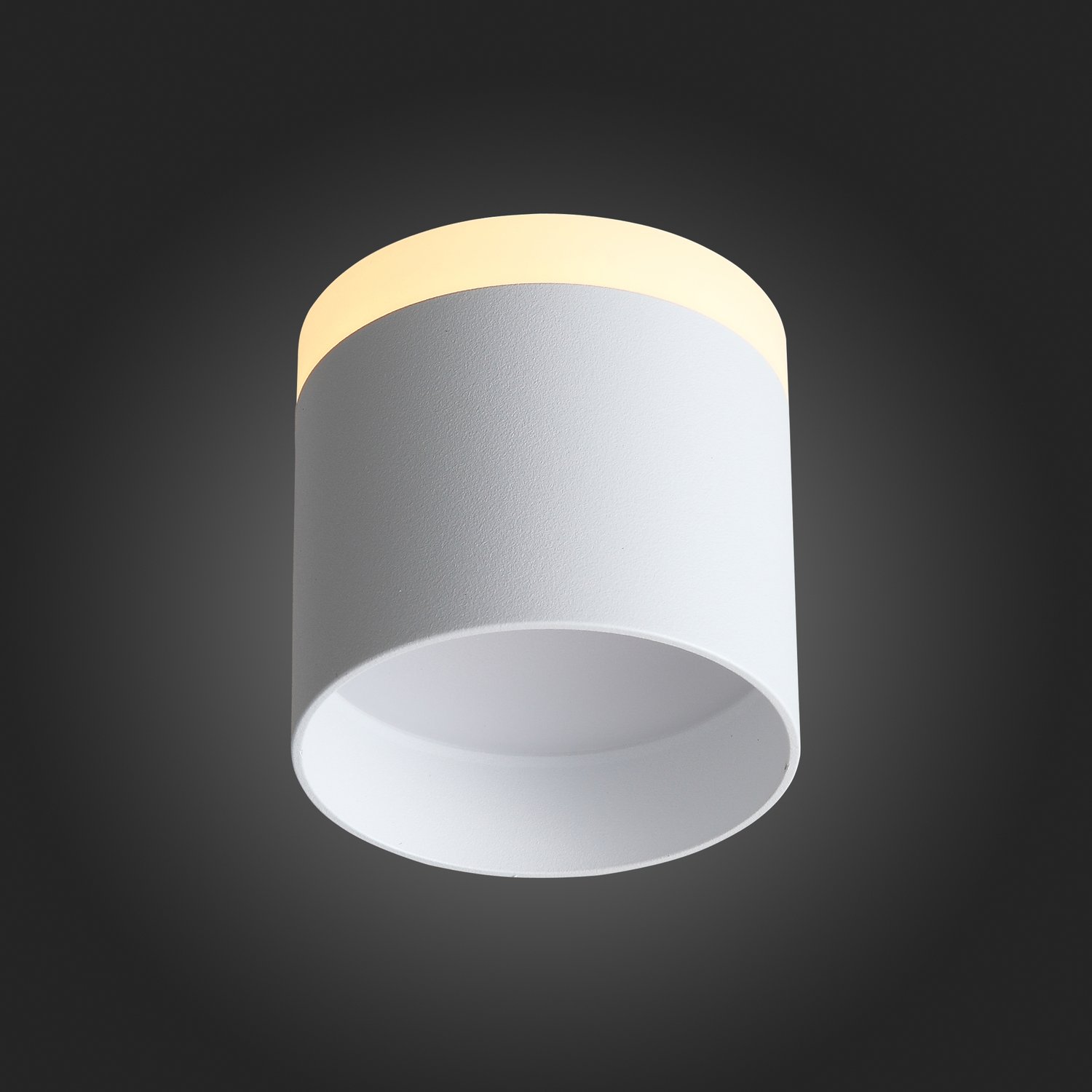ST102.502.12 Светильник потолочный Белый LED 1*12W 3000K 936Lm Ra>80 120° IP20 D100xH90 170-240V Накладные светильники