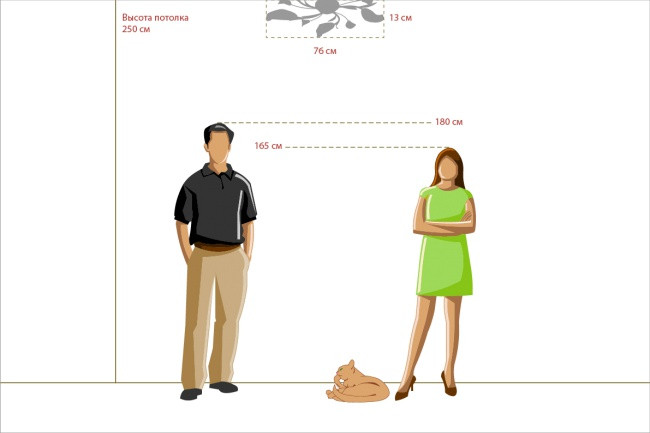 Накладная люстра MW-Light 242016205