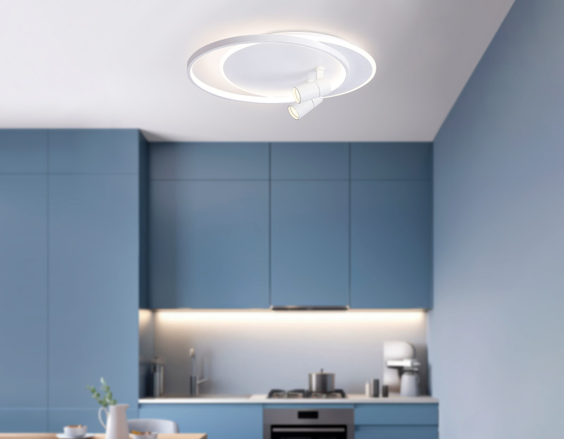 Накладной светильник Ambrella Light FL51391