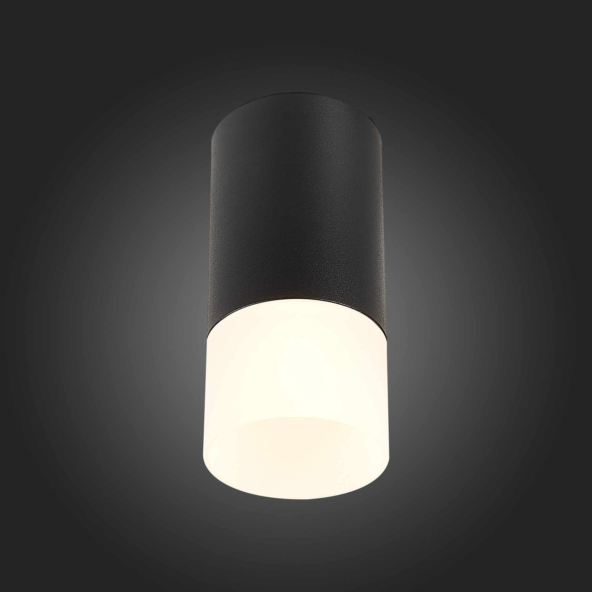 ST100.412.01 Светильник потолочный Черный GU10 1*50W IP20 D64xH131 220V Без ламп Накладные светильники