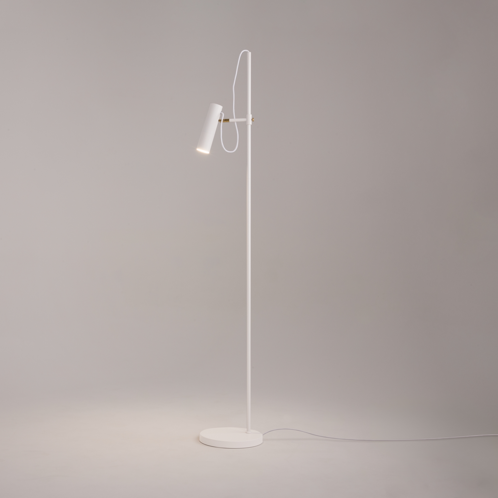 Напольный светильник (торшер) Maytoni MOD129FL-01W