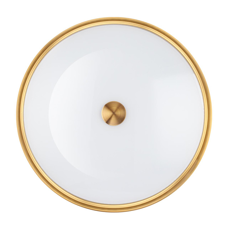 Накладной светильник Odeon Light 4824/4C