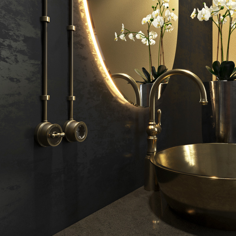 Розетка Werkel WL19-10-02 (Бронзовый)