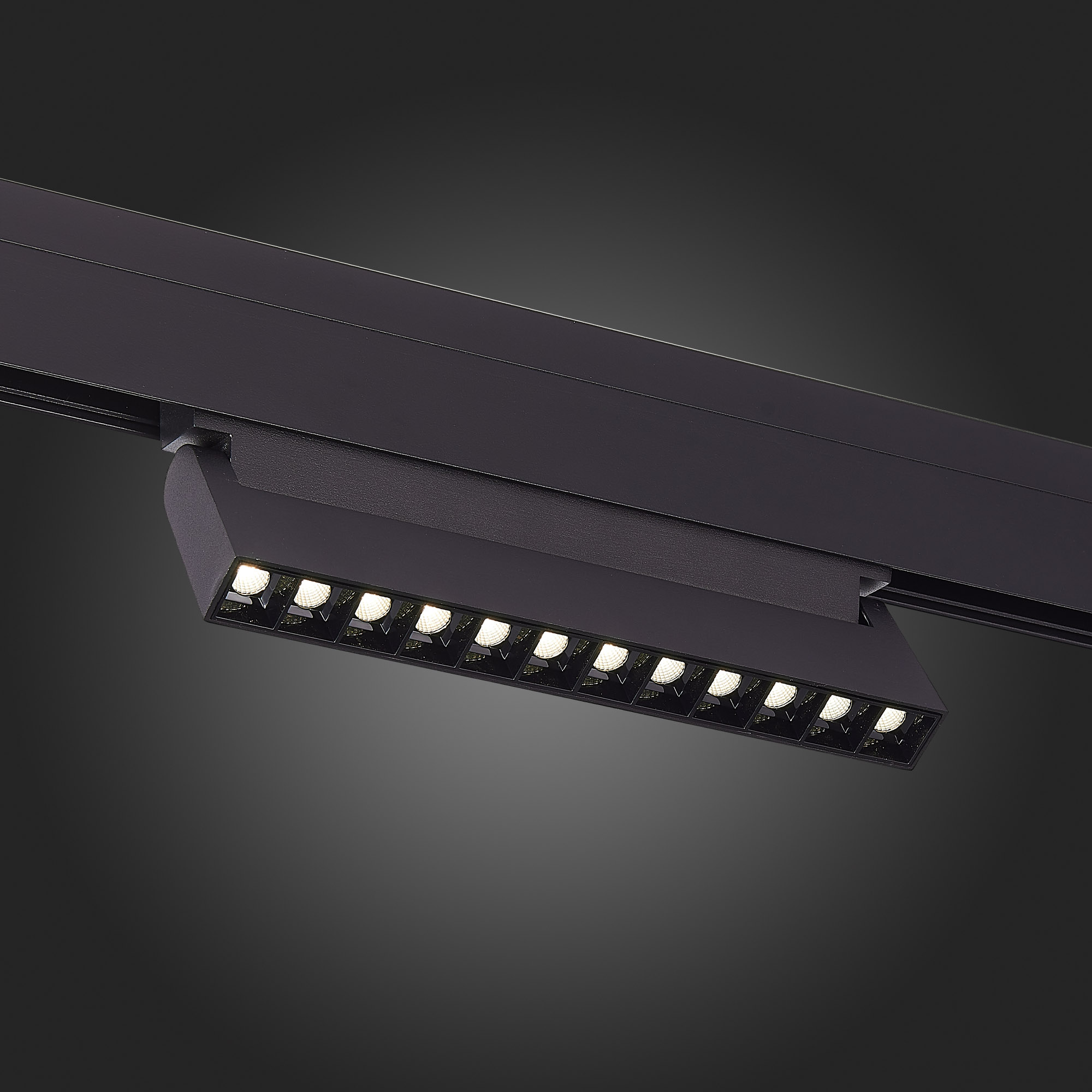 ST364.436.12 Магнитный трековый светильник Черный LED 1*12W 3000K 1 009Lm Ra>90 36° IP20 L219xW22xH1 SKYLINE 48