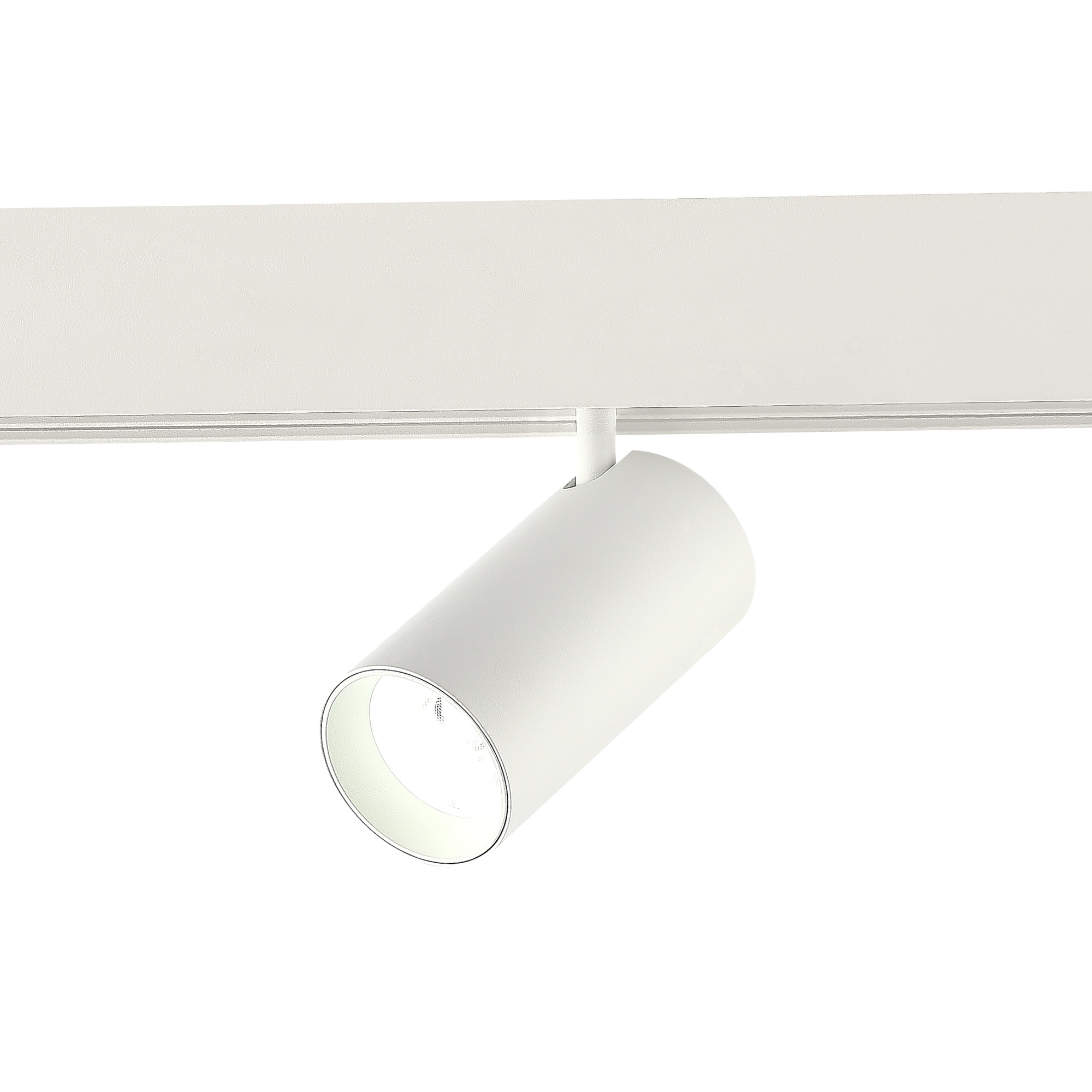 ST375.506.20 Магнитный трековый светильник SMART Белый LED 1*20W 2700K-6500K 1 800Lm Ra90 36° IP20 L SKYLINE 48
