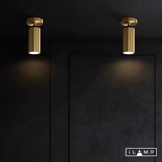 Спот iLamp 8861C BR-BK