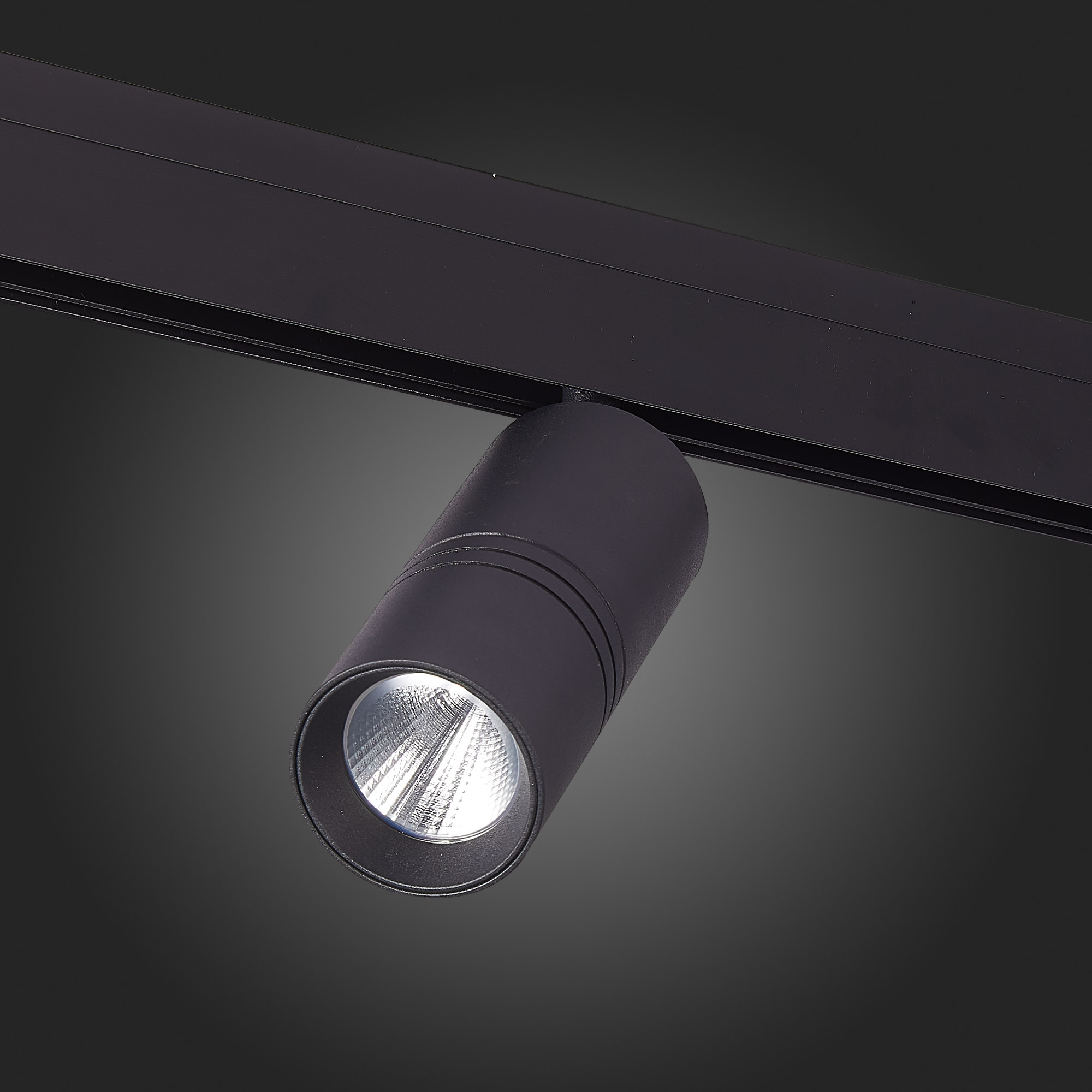 ST365.446.18 Магнитный трековый светильник Черный LED 1*18W 4000K 1 530Lm Ra>90 36° IP20 L-xW60xH148 SKYLINE 48