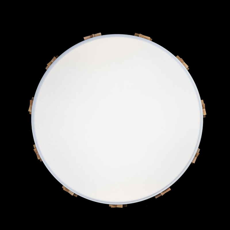 Потолочный детский светильник LOFT IT 10006/36 White