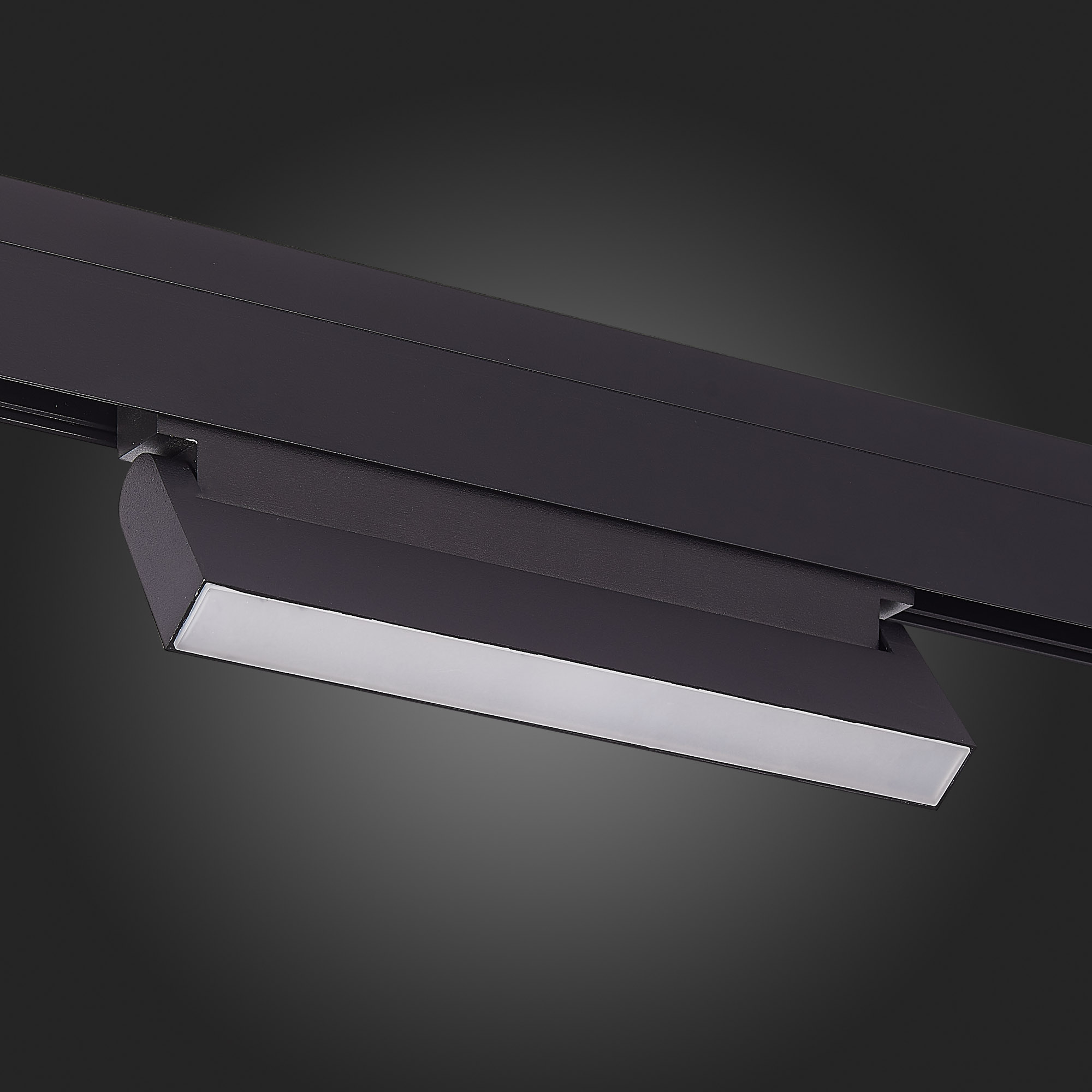 ST363.436.12 Магнитный трековый светильник Черный LED 1*12W 3000K 720Lm Ra>90 120 IP20 L219xW22xH108 SKYLINE 48