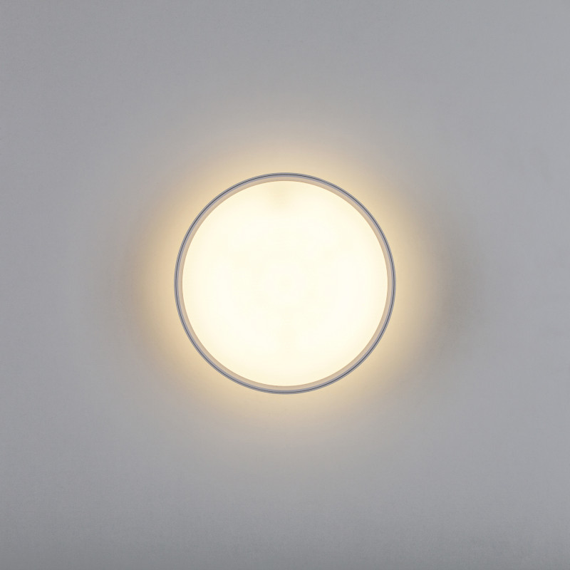 Накладной светильник Lightstar 215936