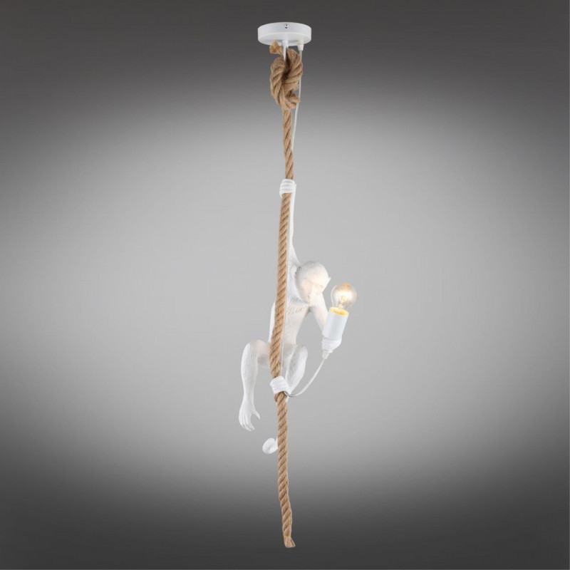 Потолочный детский светильник APLOYT APL.309.06.01