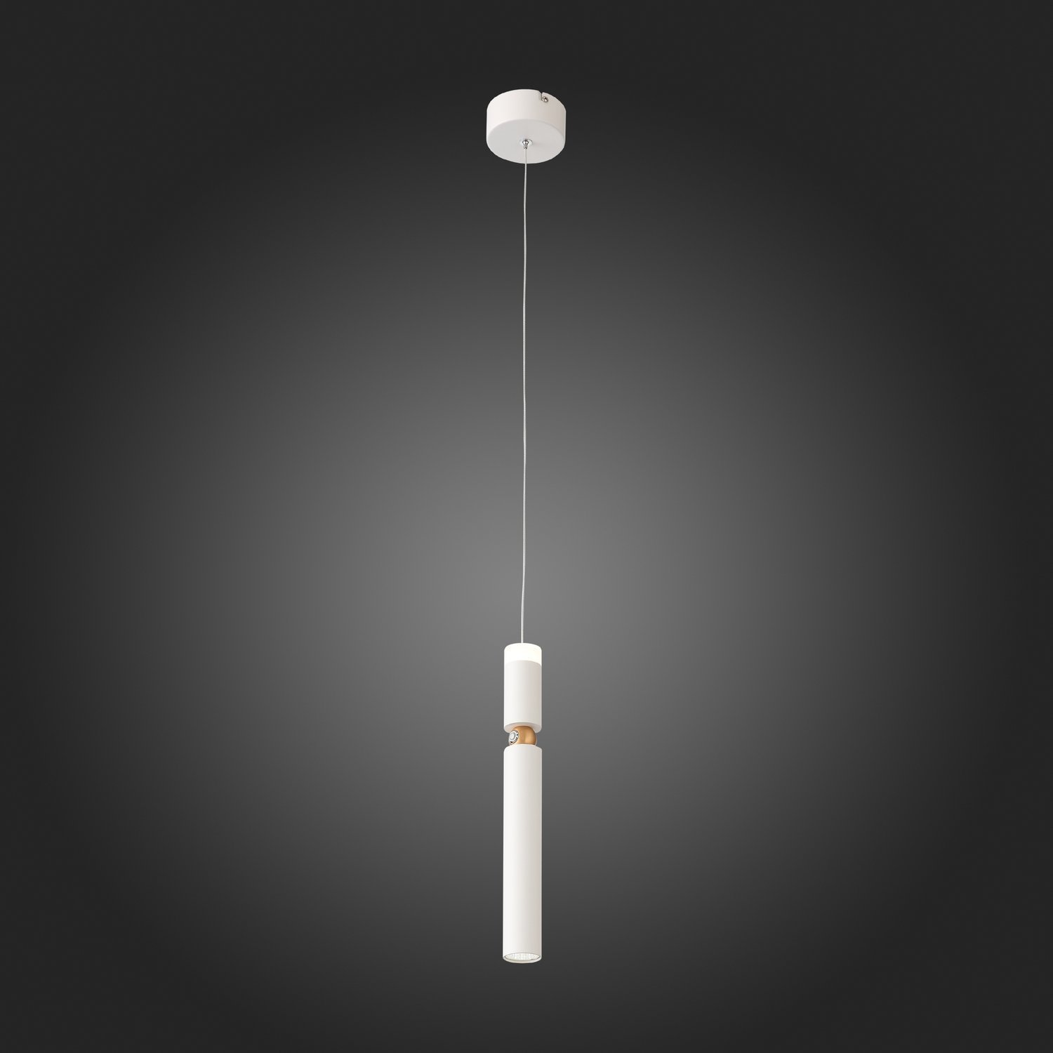 SL1592.503.01 Светильник подвесной ST-Luce Белый/Белый LED 1*6W 3000K Подвесные светильники
