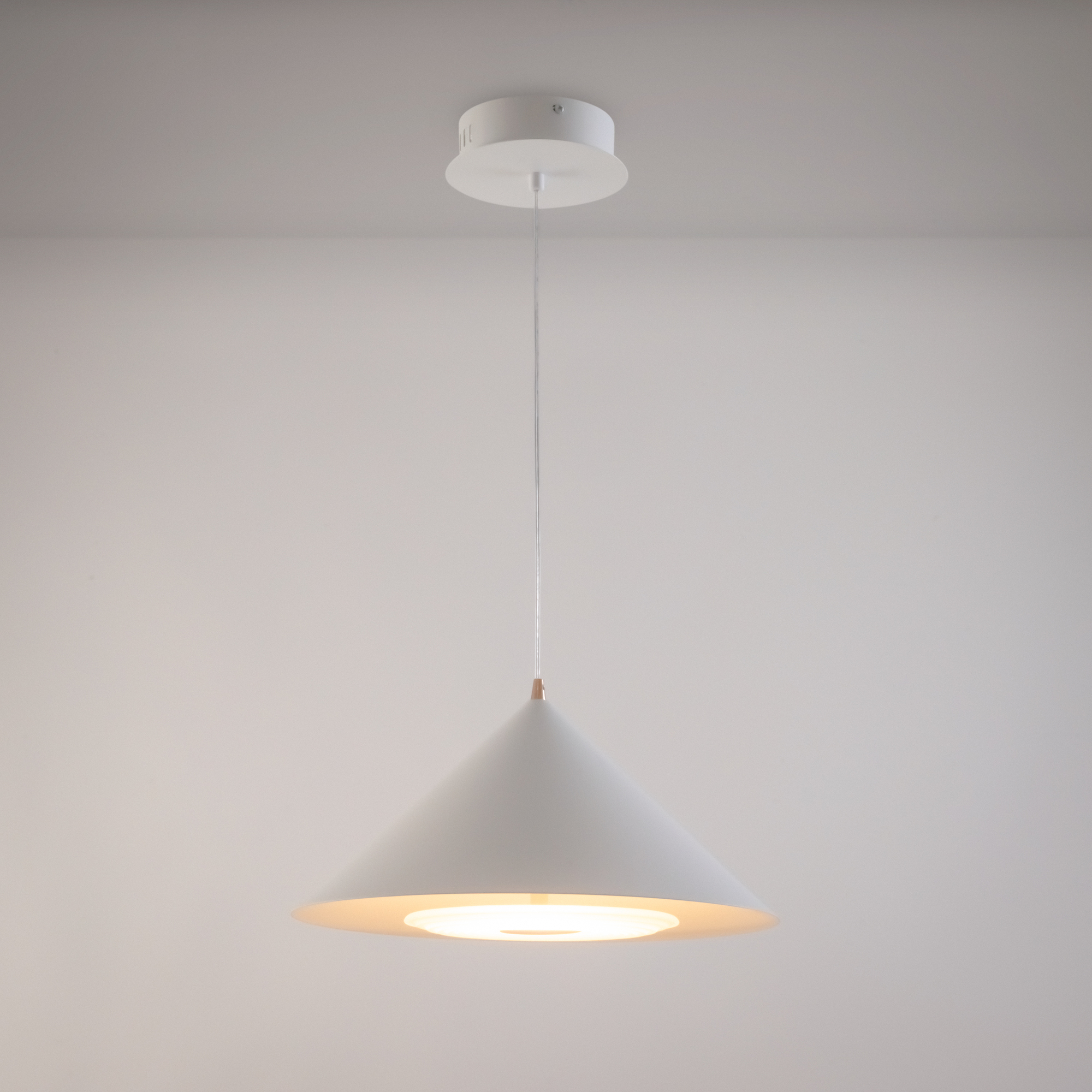 Подвесной светильник Freya FR5397PL-L3W