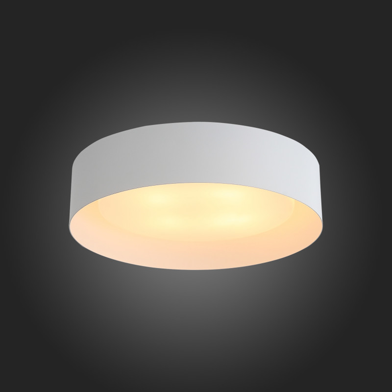 Накладной светильник ST-Luce SL392.502.04