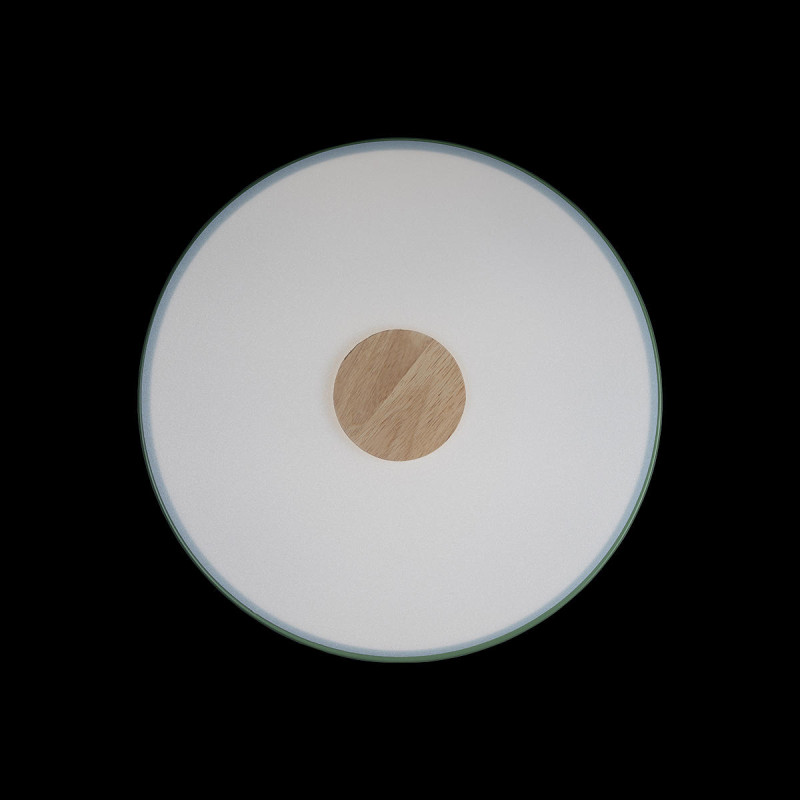 Потолочный детский светильник LOFT IT 10003/24 Green