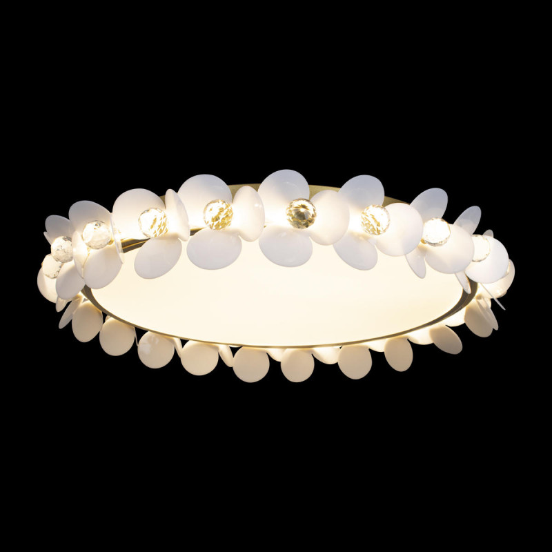 Потолочный детский светильник LOFT IT 10176