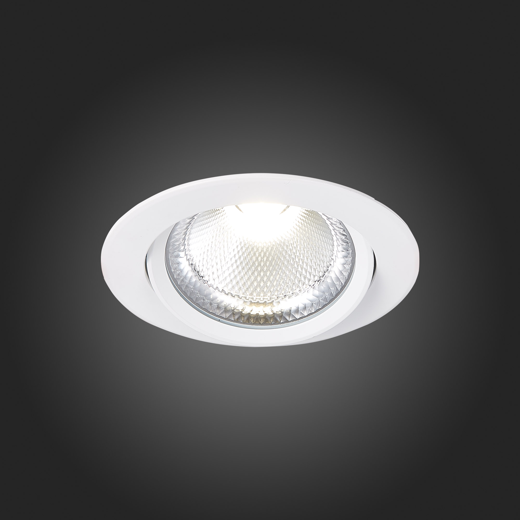 ST211.538.24.36 Св-к встр. Белый LED 1*24W 3000K 1 800Lm Ra80 36° IP20 D138xH88 220-240V Встраиваемые светильники