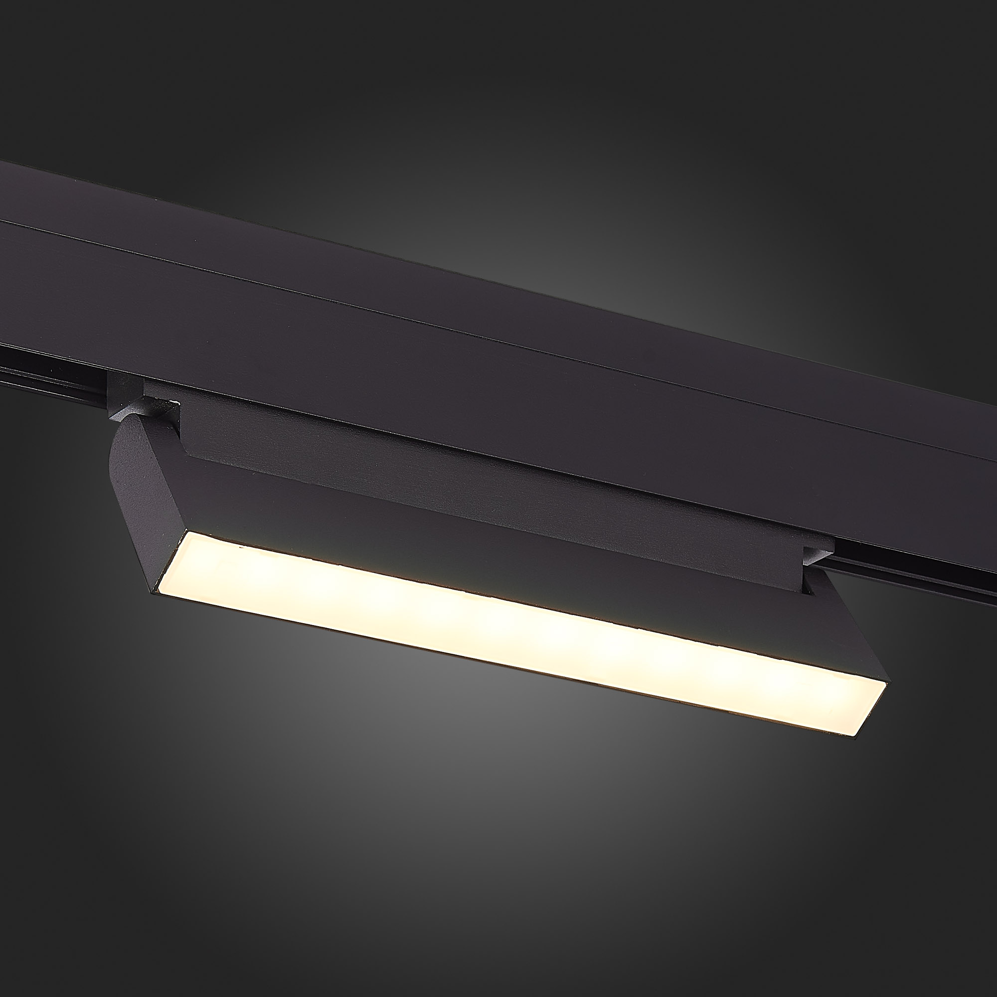ST363.436.12 Магнитный трековый светильник Черный LED 1*12W 3000K 720Lm Ra>90 120 IP20 L219xW22xH108 SKYLINE 48