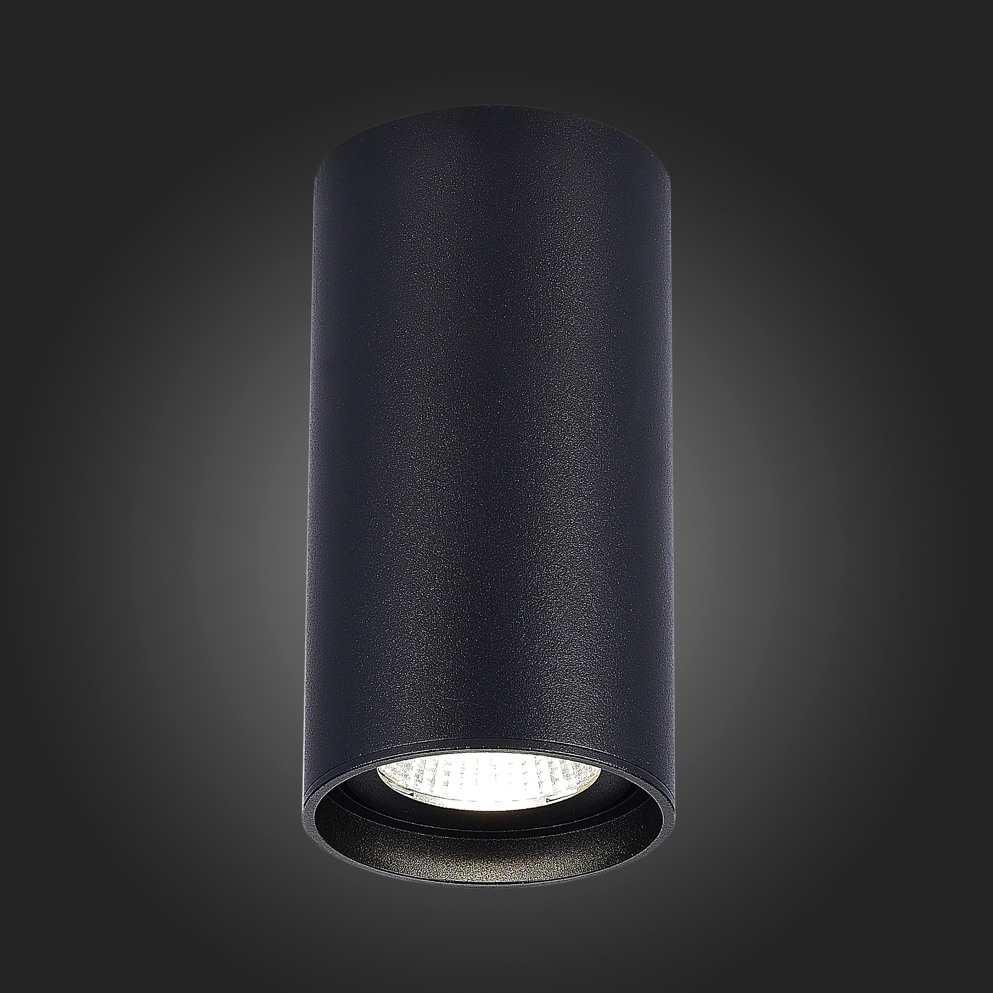 ST157.442.15 Светильник потолочный Черный LED 1*15W 4000K 1 200Lm Ra>90 60° IP44 D75xH140 220-265V Накладные светильники