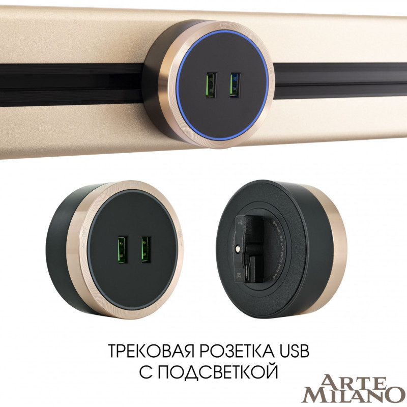 Трековая система розеток Arte Milano 380066TS LED/USBx2 Gold