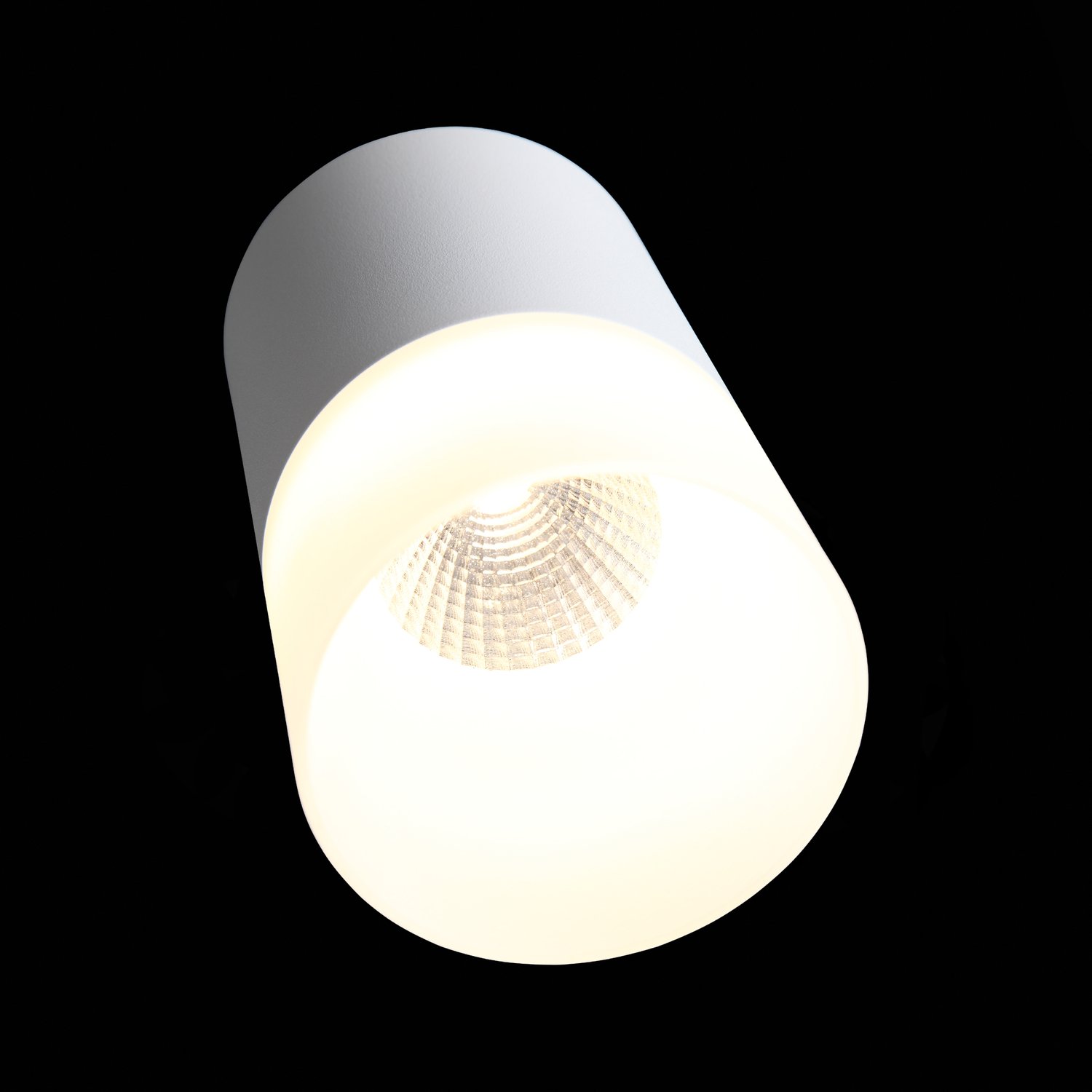 ST100.502.10 Светильник потолочный Белый LED 1*10W 3000K 780Lm Ra>80 120° D78xH135 170-240V Накладные светильники