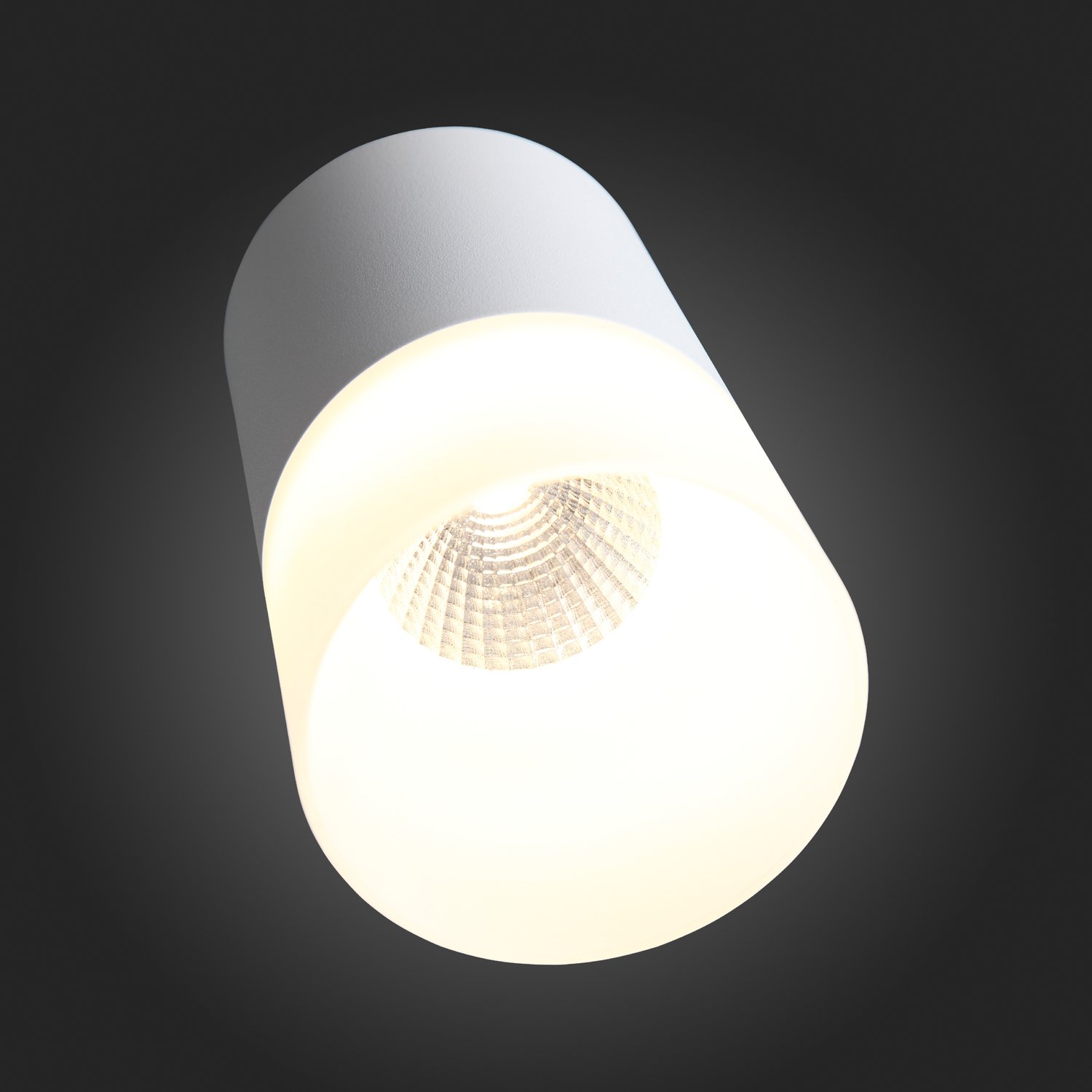 ST100.502.10 Светильник потолочный Белый LED 1*10W 3000K 780Lm Ra>80 120° D78xH135 170-240V Накладные светильники
