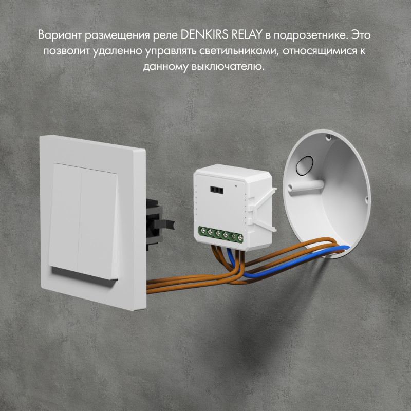 Wi-Fi реле Denkirs RL1002-SM