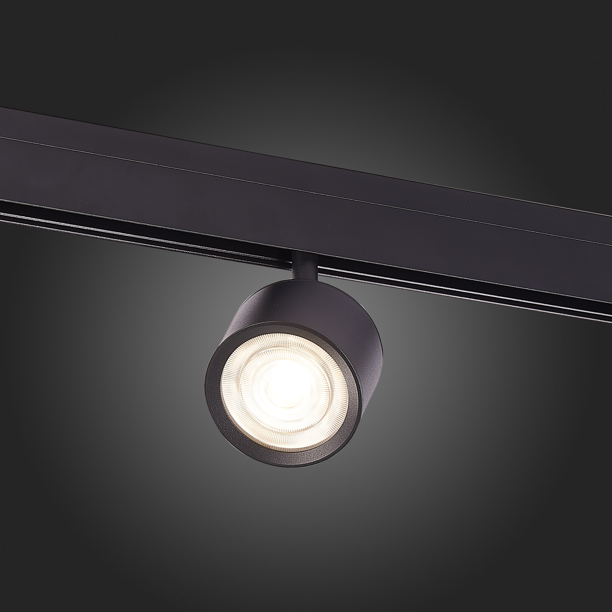 ST353.446.06 Магнитный трековый светильник Черный LED 1*6W 4000K 560Lm Ra>90 36° IP20 L120xW81xH138 SKYLINE 48