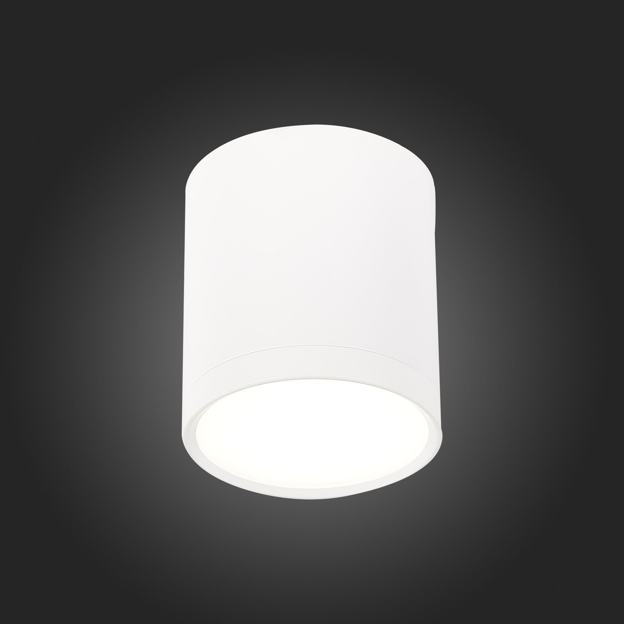 ST113.542.05 Светильник потолочный Белый LED 1*5W 4000K 390Lm Ra>90 120° IP20 D68xH75 170-240V Накладные светильники