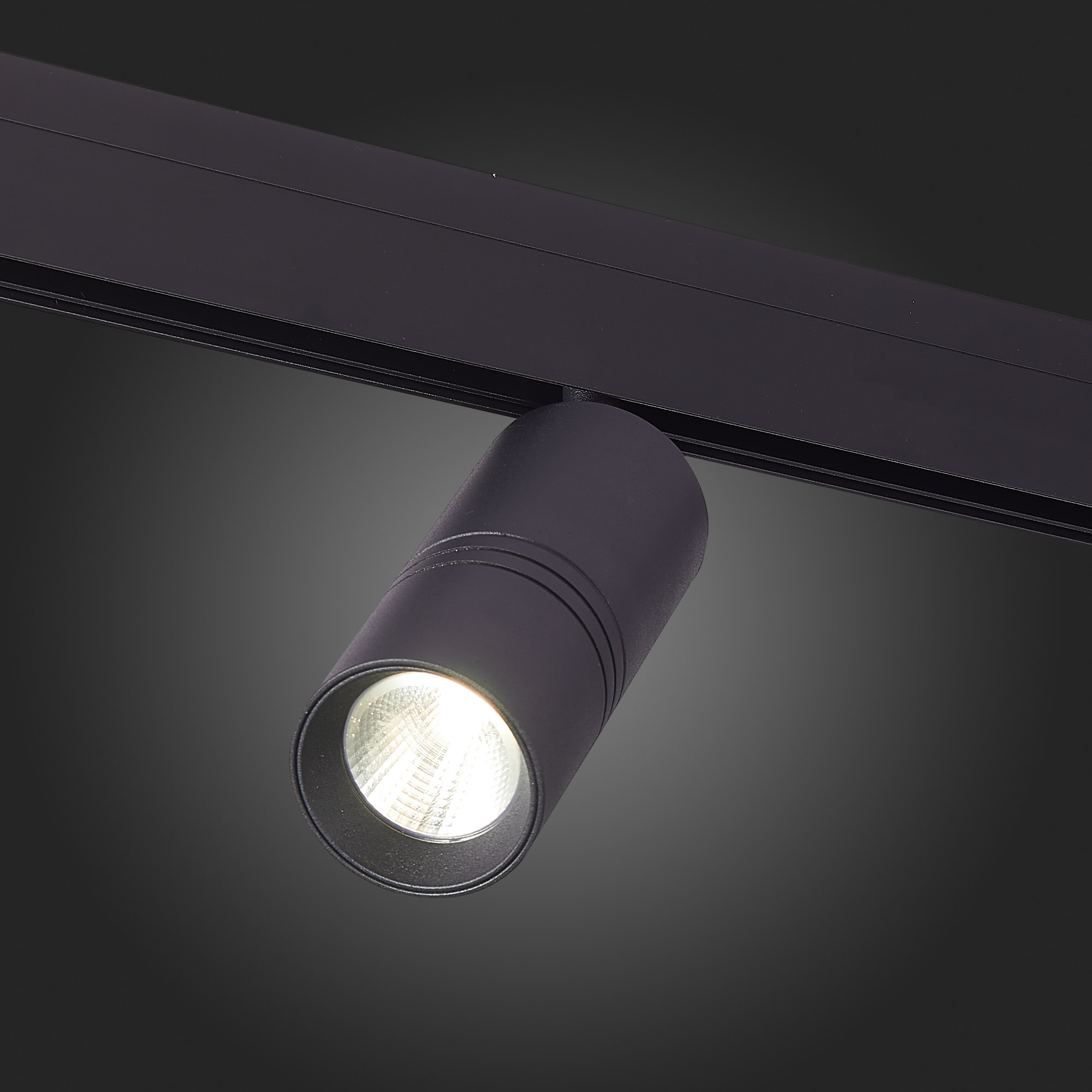 ST365.446.18 Магнитный трековый светильник Черный LED 1*18W 4000K 1 530Lm Ra>90 36° IP20 L-xW60xH148 SKYLINE 48