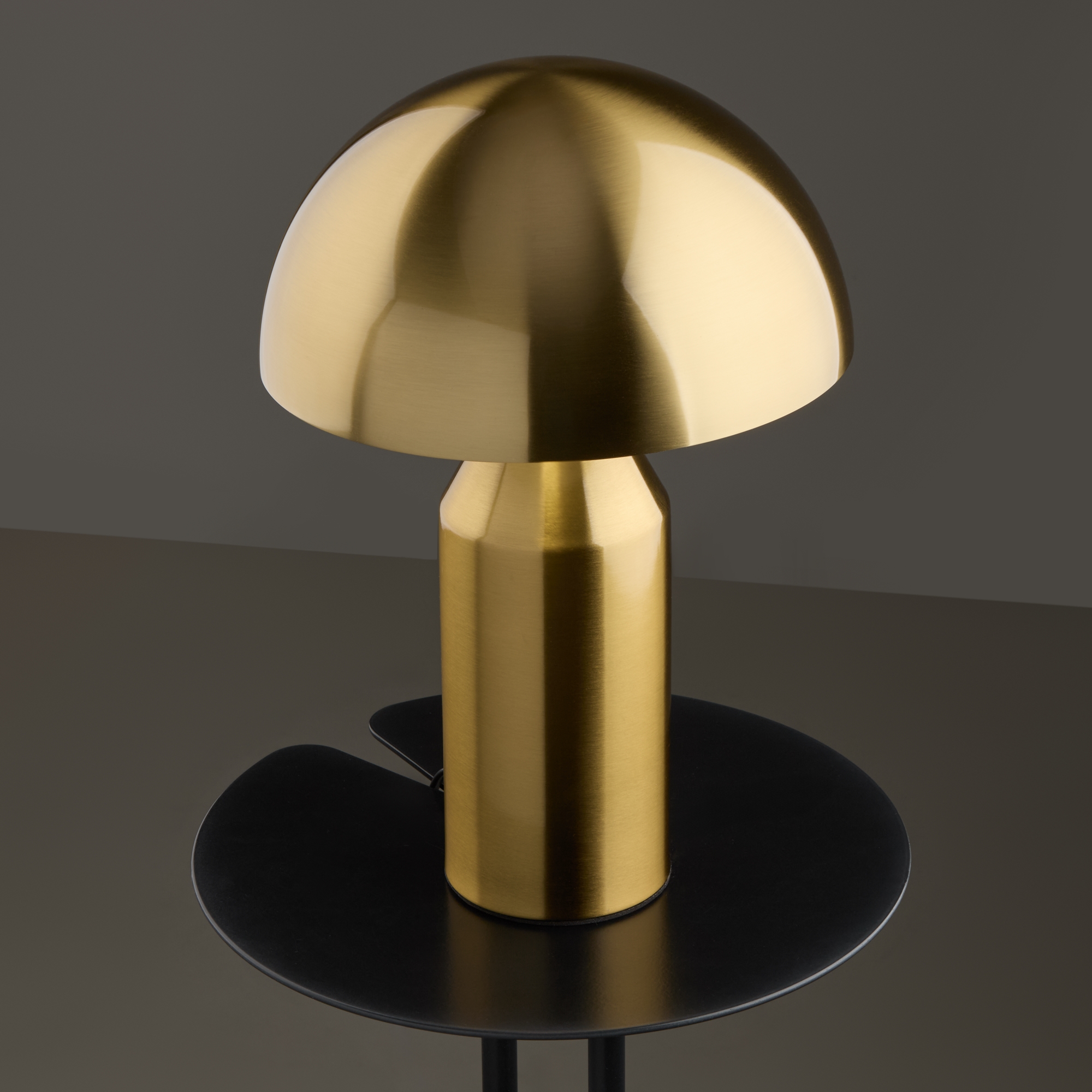 Настольный светильник Freya FR5218TL-01BS