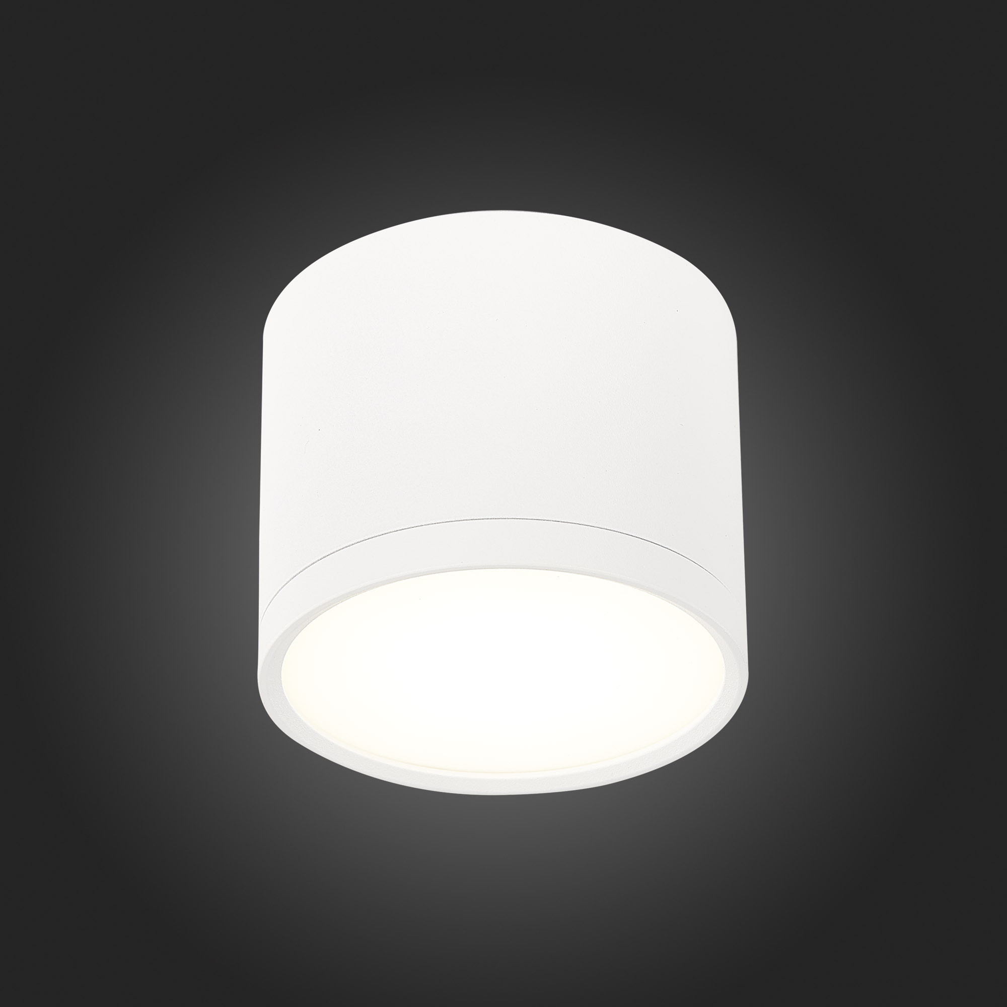 ST113.542.09 Светильник потолочный Белый LED 1*9W 4000K 702Lm Ra>90 120° IP20 D88xH75 170-240V Накладные светильники